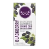 Blackberry CBD Gummies 2g